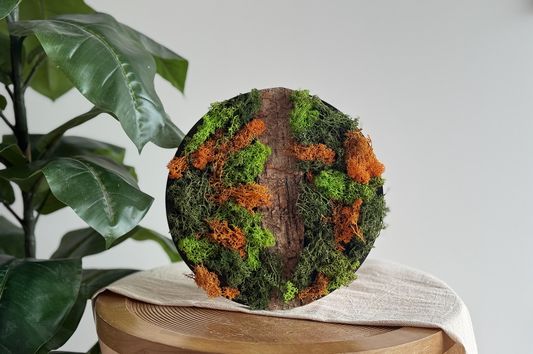 Craft Kit Moss Painting