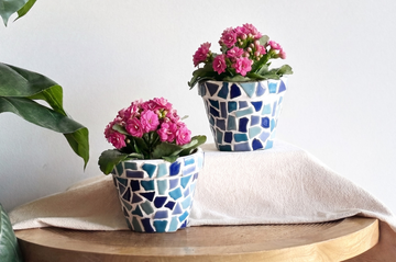 Craft Kit Mosaic Flower Pot (2 pieces)