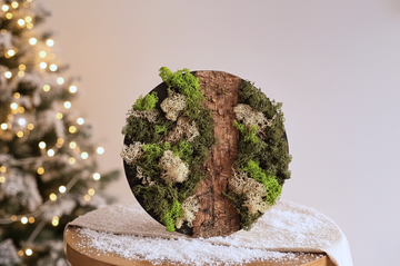 DIY Pakket Mos Schilderij