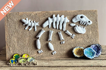 Knutselpakket Prehistorie