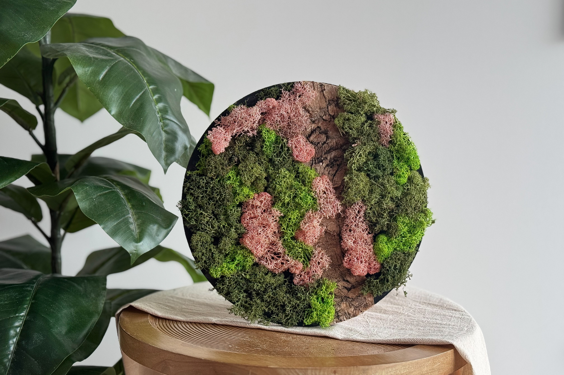 DIY Pakket Mos Schilderij