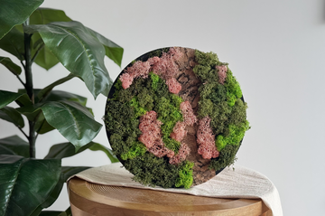 DIY Pakket Mos Schilderij